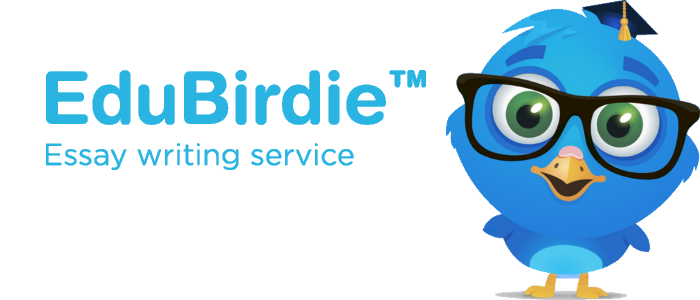 EduBirdie Professional Essay Writing Service Review – First Comics News