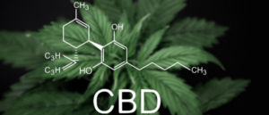 6 Things You Need To Know About CBD Products