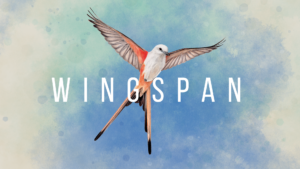 Wingspan – a relaxing, award-winning strategy card game out now for XBox